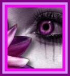 ***~OOO...---MN NVR---...OOO~***